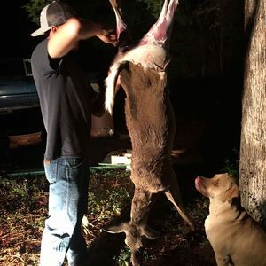 Meet your Posher, Frankie